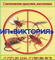 Дезостанция «ВИКТОРИЯ», уничтожение грызунов, насекомых